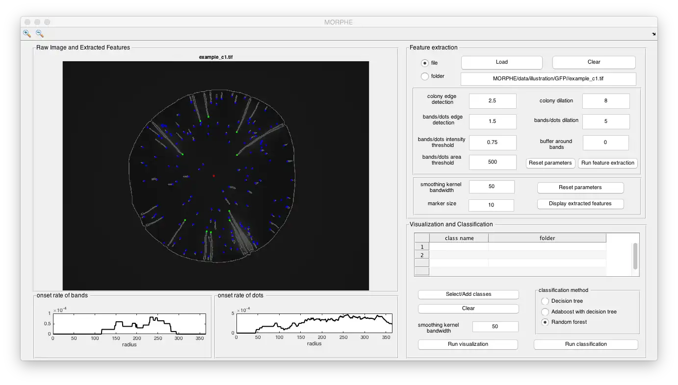 Download web tool or web app MORPHE