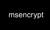 Run msencrypt in OnWorks free hosting provider over Ubuntu Online, Fedora Online, Windows online emulator or MAC OS online emulator