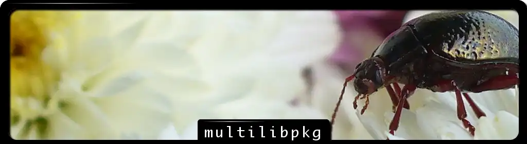 Download web tool or web app multilibpkg