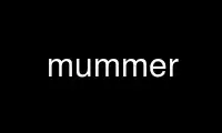 Run mummer in OnWorks free hosting provider over Ubuntu Online, Fedora Online, Windows online emulator or MAC OS online emulator