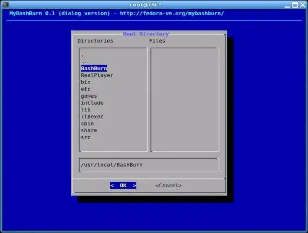 Download web tool or web app MyBashBurn