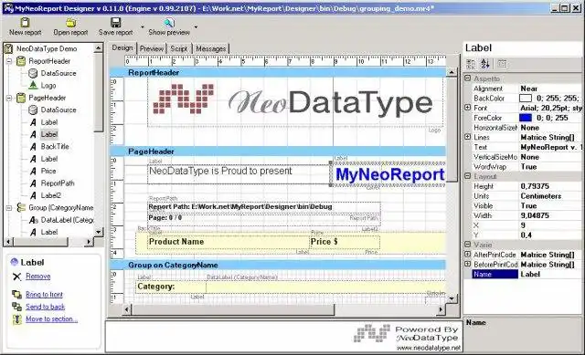 Download web tool or web app MyNeoReport Designer