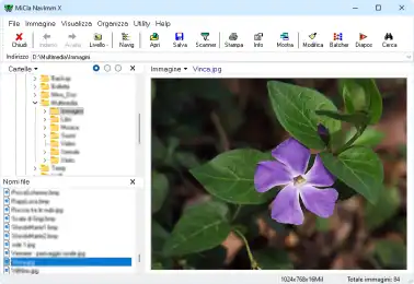 Download web tool or web app NavImm X "Navigatore immagini"