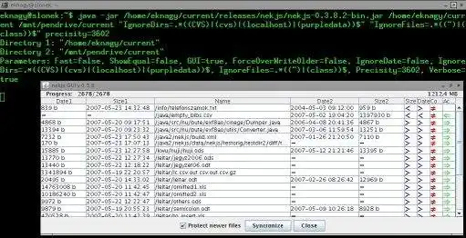 Download web tool or web app NEKs Java Syncronizer