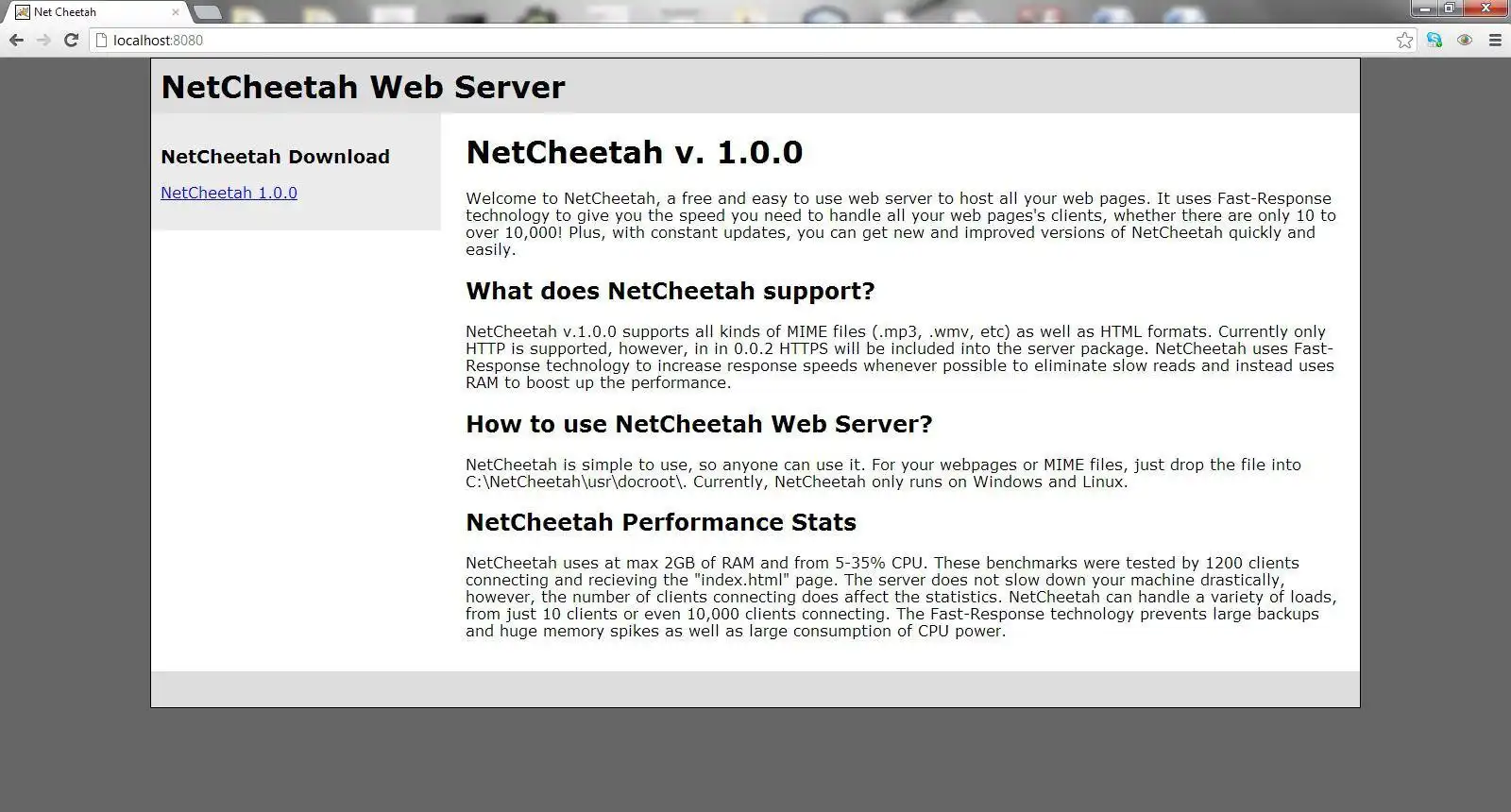 Download web tool or web app NetCheetah Web Server