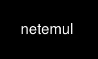 Run netemul in OnWorks free hosting provider over Ubuntu Online, Fedora Online, Windows online emulator or MAC OS online emulator