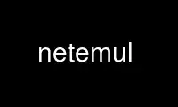 Uruchom netemul w darmowym dostawcy hostingu OnWorks przez Ubuntu Online, Fedora Online, emulator online Windows lub emulator online MAC OS