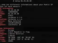 Download web tool or web app Netip (stable version)