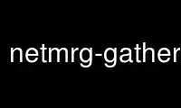 Run netmrg-gatherer in OnWorks free hosting provider over Ubuntu Online, Fedora Online, Windows online emulator or MAC OS online emulator