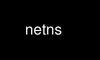 Run netns in OnWorks free hosting provider over Ubuntu Online, Fedora Online, Windows online emulator or MAC OS online emulator