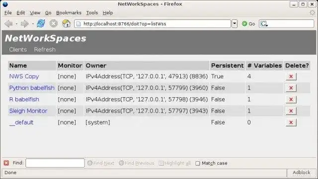 Mag-download ng web tool o web app na NetWorkSpaces para sa R