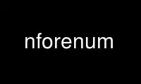 Run nforenum in OnWorks free hosting provider over Ubuntu Online, Fedora Online, Windows online emulator or MAC OS online emulator