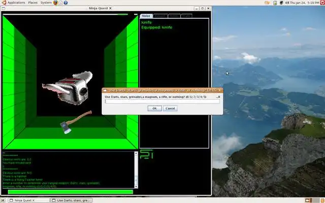 Download web tool or web app Ninja Quest X to run in Linux online