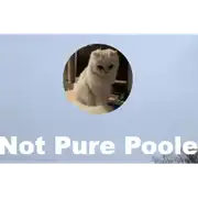 قم بتنزيل تطبيق Not Pure Poole Windows مجانًا لتشغيل Win Wine عبر الإنترنت في Ubuntu عبر الإنترنت أو Fedora عبر الإنترنت أو Debian عبر الإنترنت