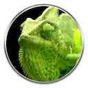 Free download NumericalChameleon Linux app to run online in Ubuntu online, Fedora online or Debian online