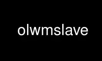 Run olwmslave in OnWorks free hosting provider over Ubuntu Online, Fedora Online, Windows online emulator or MAC OS online emulator