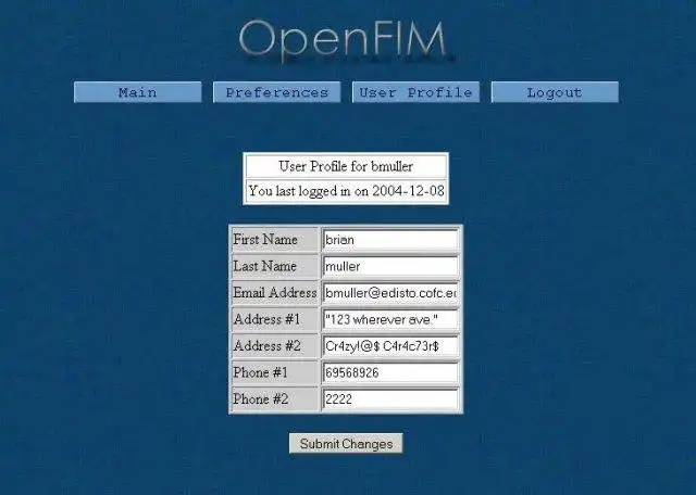 Загрузите веб-инструмент или веб-приложение OpenFIM