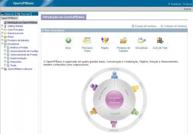 Download web tool or web app OpenUP-BR