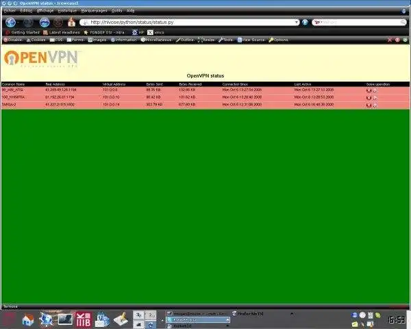 Download web tool or web app OpenVPN-Status