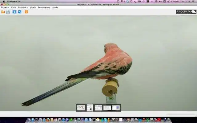 Download web tool or web app ORNIWARE - Ornitologia Digital