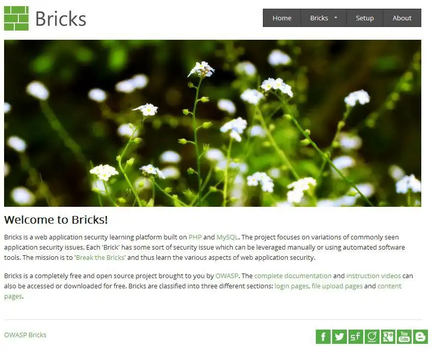 Mag-download ng web tool o web app na OWASP Bricks