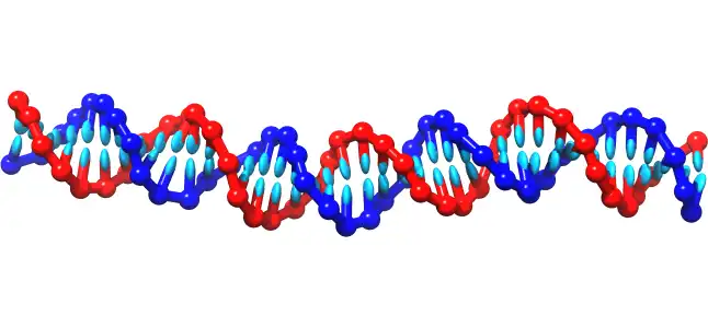 Tải xuống công cụ web hoặc ứng dụng web oxDNA