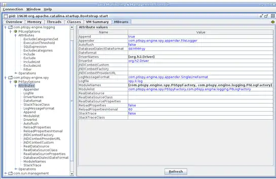 Download webtool of webapp p6spy