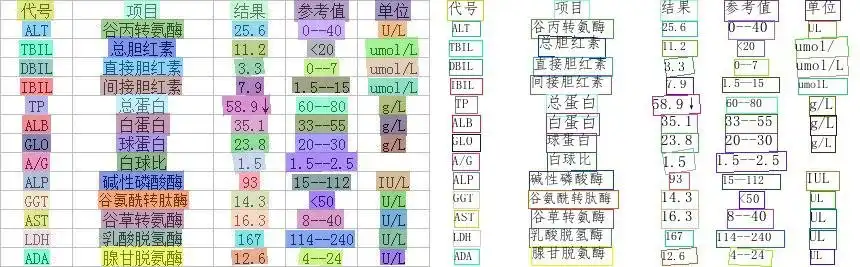 下载网络工具或网络应用程序 PaddleOCR