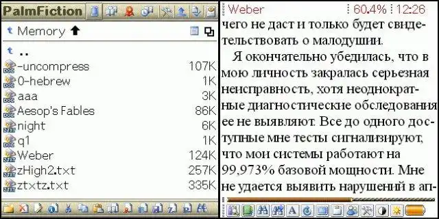 Download web tool or web app PalmFiction