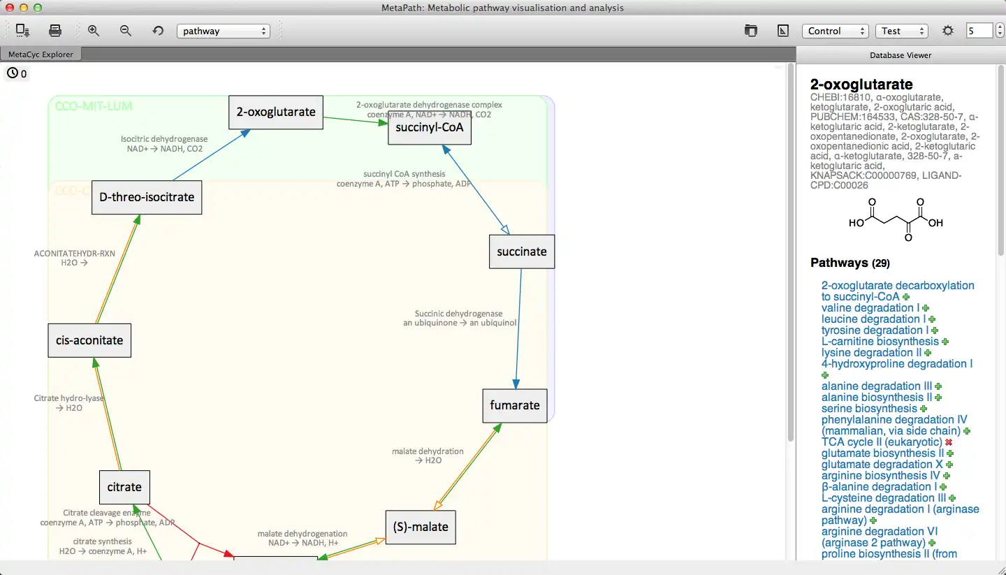 Scarica lo strumento web o l'app web Pathomx