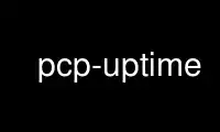 Run pcp-uptime in OnWorks free hosting provider over Ubuntu Online, Fedora Online, Windows online emulator or MAC OS online emulator