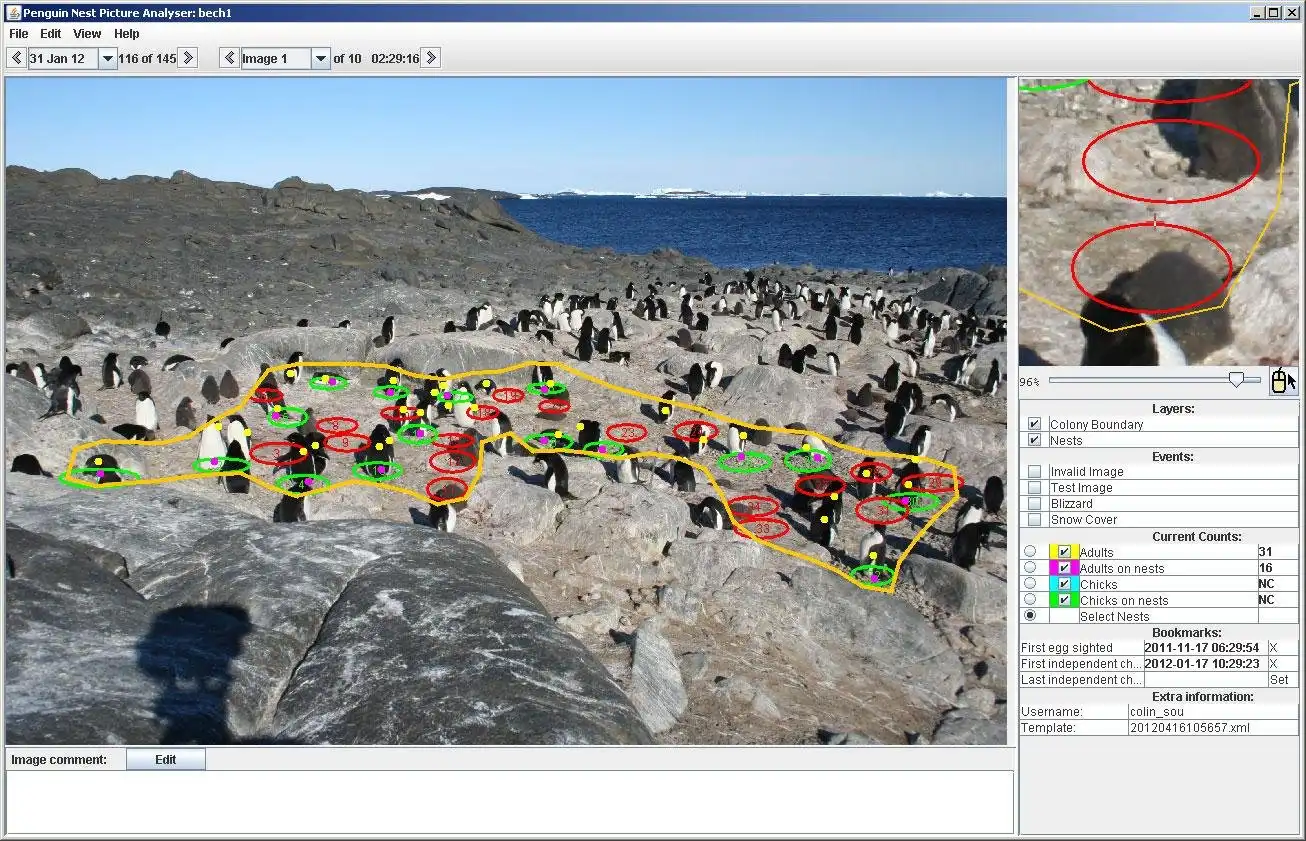 Download web tool or web app Penguin Nest Picture Analyser