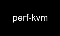 Run perf-kvm in OnWorks free hosting provider over Ubuntu Online, Fedora Online, Windows online emulator or MAC OS online emulator