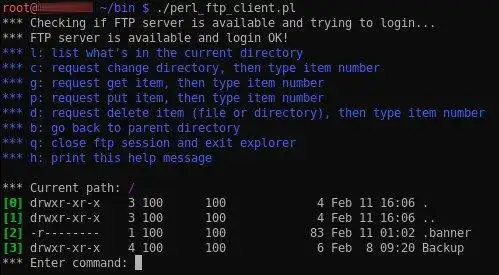 Download web tool or web app Perl FTP Client