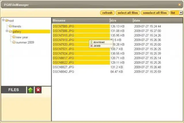 Web aracını veya web uygulamasını indirin PGRFileManager