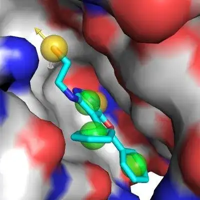 הורד כלי אינטרנט או אפליקציית אינטרנט Pharmer