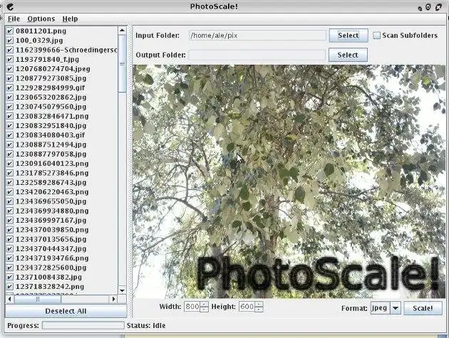 Download web tool or web app PhotoScale!