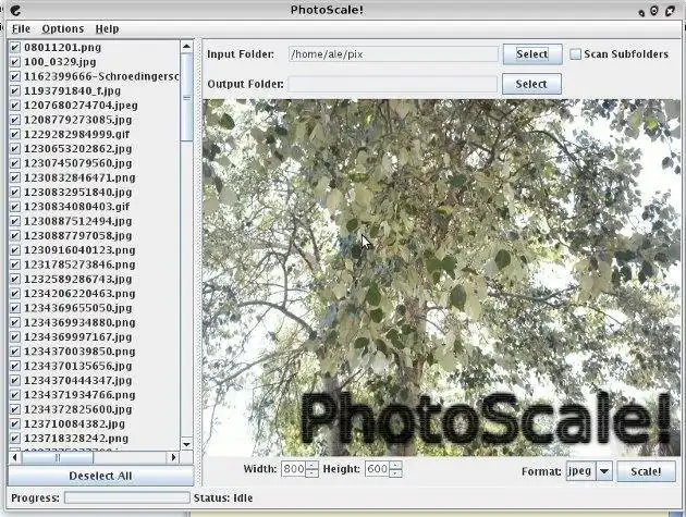 Tải xuống công cụ web hoặc ứng dụng web PhotoScale!