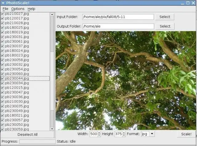 Download web tool or web app PhotoScale!