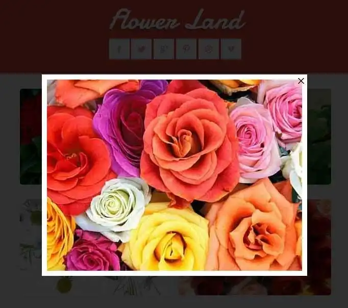 Download web tool or web app PHP Smart Gallery
