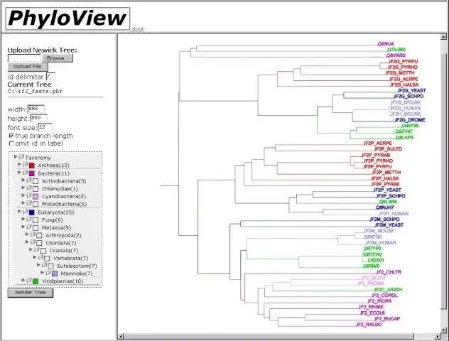 Download web tool or web app PhyloView