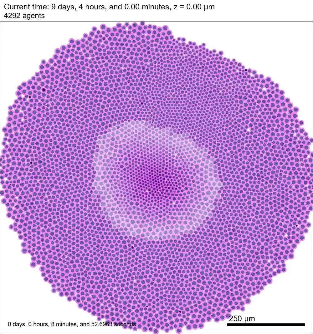 ดาวน์โหลดเครื่องมือเว็บหรือเว็บแอป PhysiCell