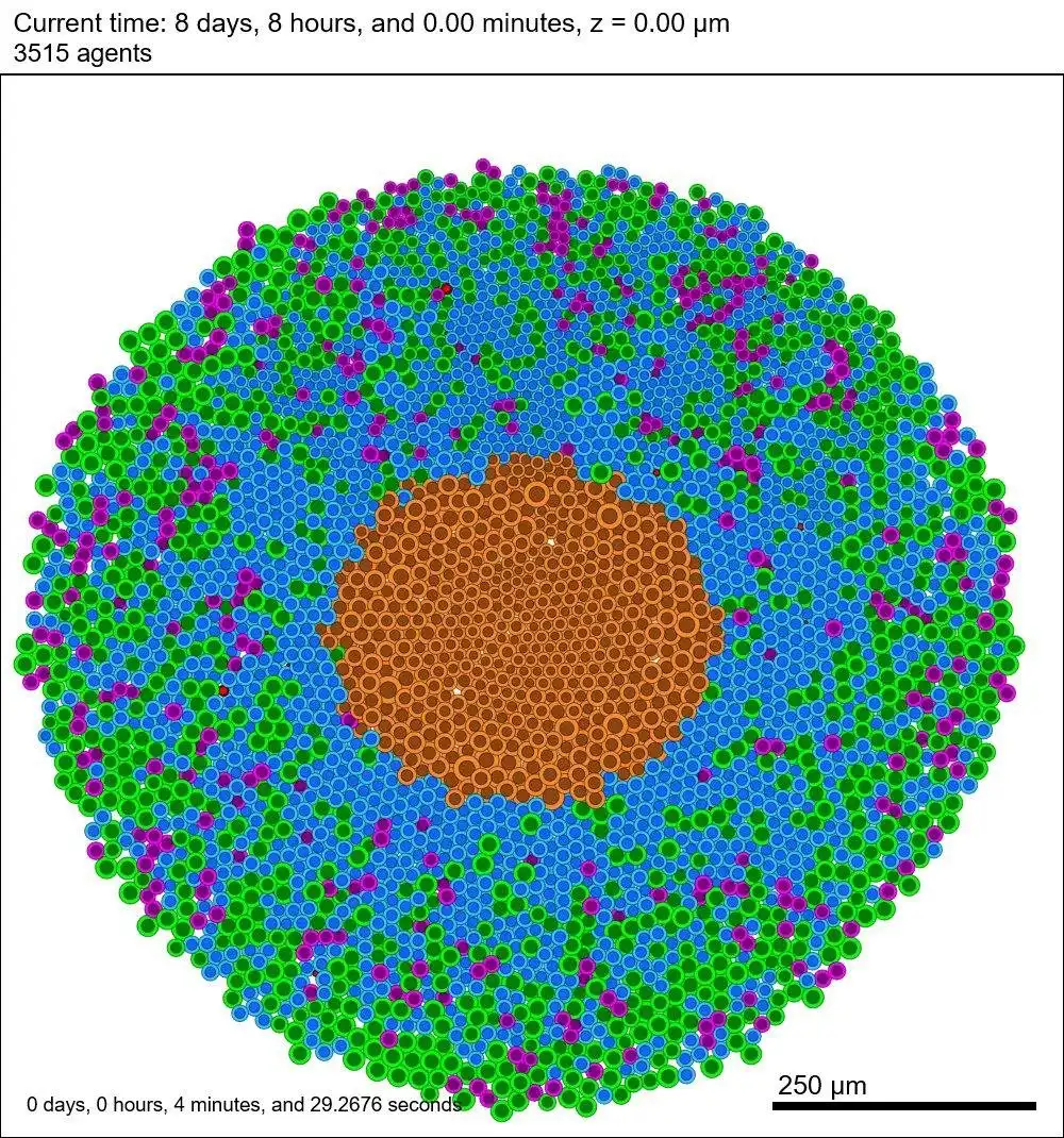 Tải xuống công cụ web hoặc ứng dụng web PhysiCell