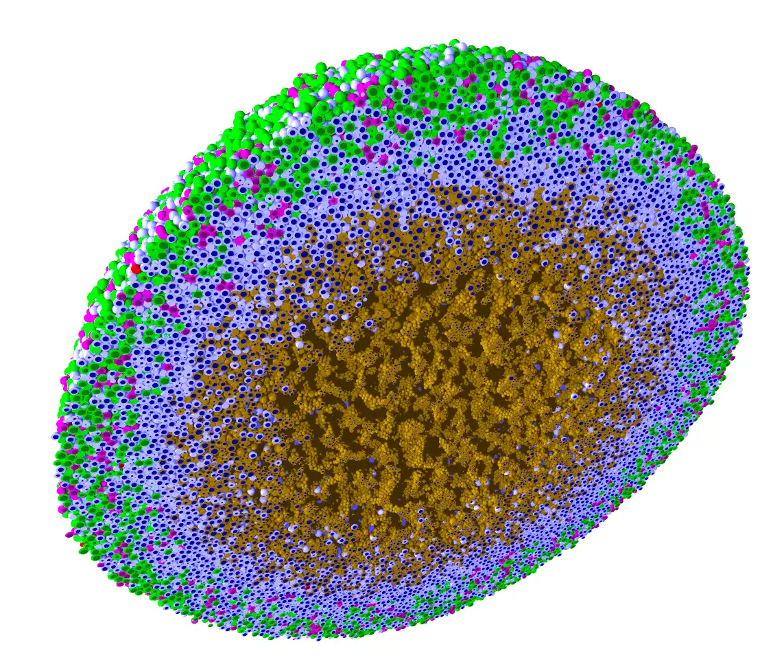 Download web tool or web app PhysiCell to run in Linux online