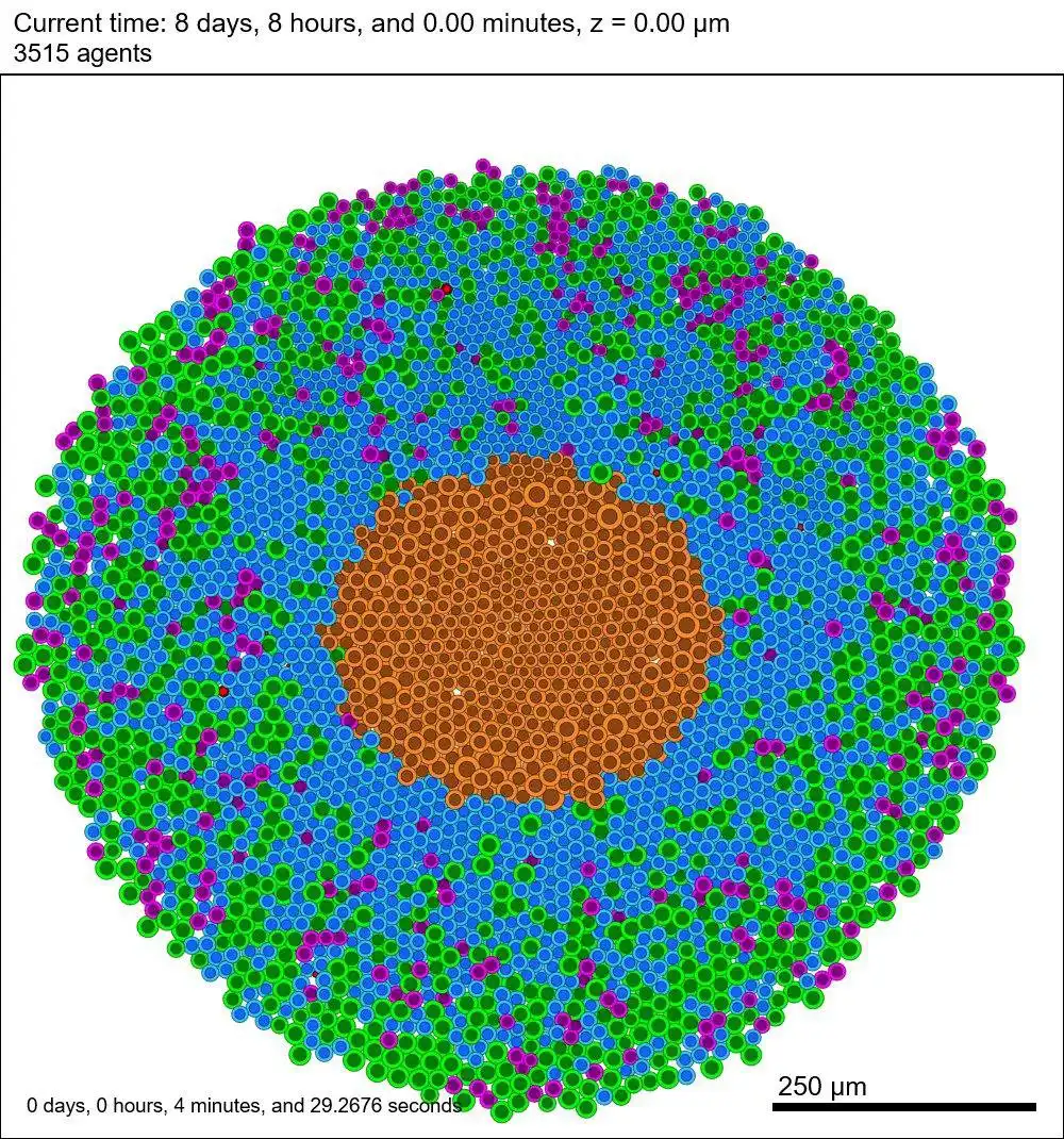 웹 도구 또는 웹 앱 PhysiCell을 다운로드하여 Linux 온라인에서 실행