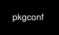 Run pkgconf in OnWorks free hosting provider over Ubuntu Online, Fedora Online, Windows online emulator or MAC OS online emulator