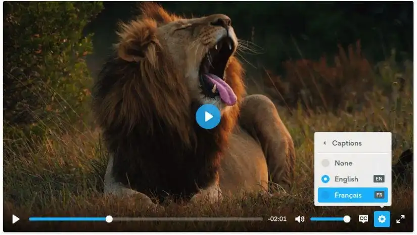 Télécharger l'outil Web ou l'application Web Plyr