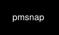 Run pmsnap in OnWorks free hosting provider over Ubuntu Online, Fedora Online, Windows online emulator or MAC OS online emulator