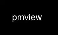 Run pmview in OnWorks free hosting provider over Ubuntu Online, Fedora Online, Windows online emulator or MAC OS online emulator