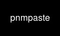 Run pnmpaste in OnWorks free hosting provider over Ubuntu Online, Fedora Online, Windows online emulator or MAC OS online emulator
